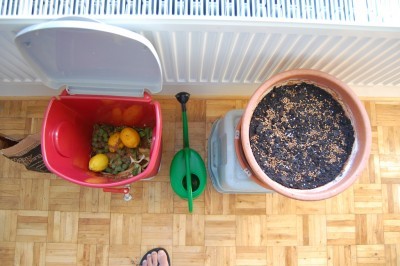 indoor-compost