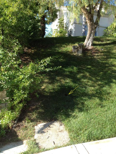 Mysterious pipe exit at hill side of my front yard