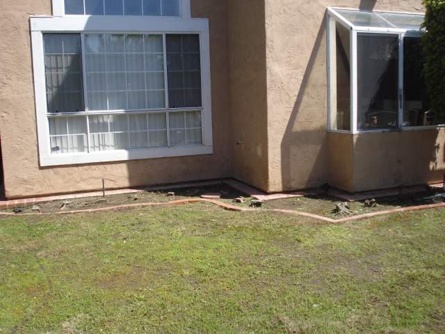 backyard diningroom and kittchen windows