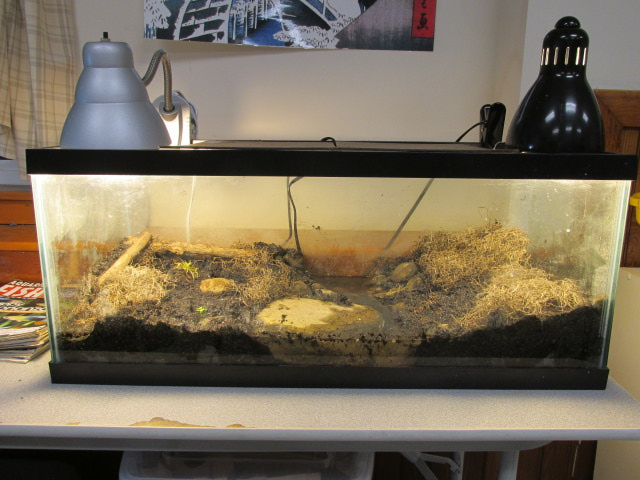 Classroom Tank