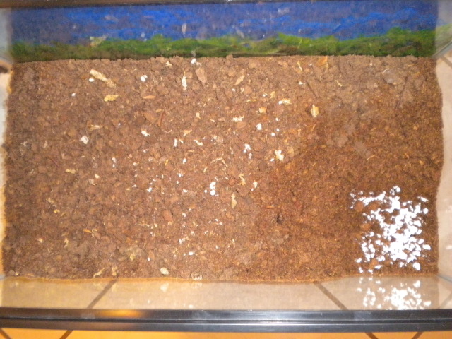 Terrarium Soil