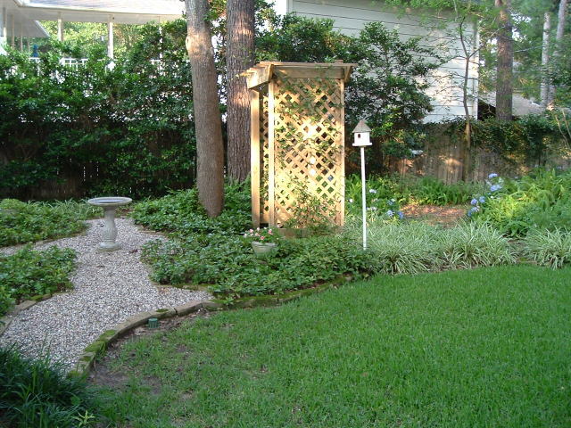 Partial shade garden