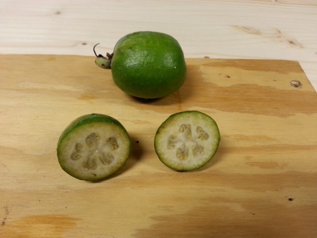 Fruit