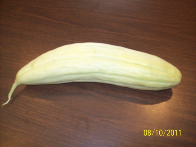 squash/cucumber ?