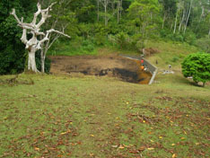 Cement Dam