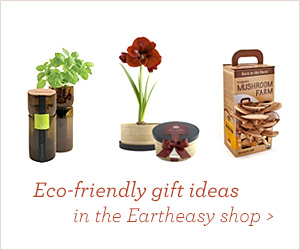 Gifts in the Eartheasy Shop