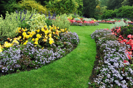 Perennial flower bed design