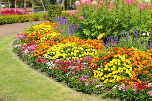 Curving flower bed