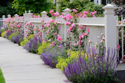 Flower bed by the fence