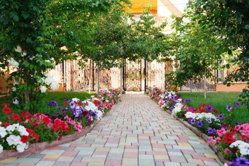 Flower bed by the path