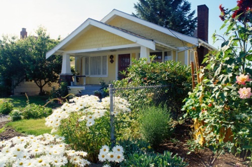 White flower bed