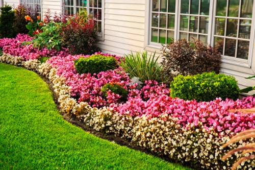 Flower bed by the window