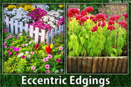 eccentric edgings