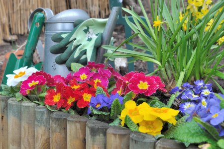 Flower Bed With Wood