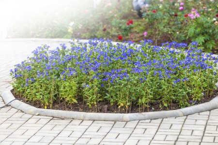 Concrete Flower Bed Edging