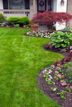 Flower Bed in Front Yard