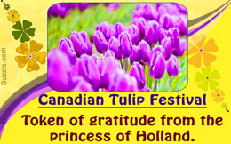 Canadian tulip festival