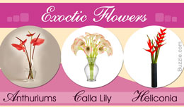Exotic flowers