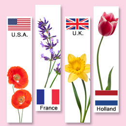 World's best countries to see flowers