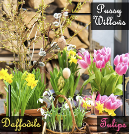 Types of Easter flowers