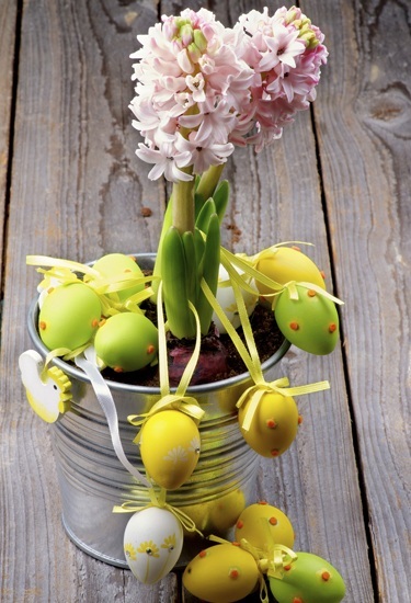 Easter Decoration using Hyacinth