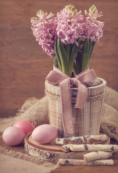 Easter decoration using Hyacinth Flowers