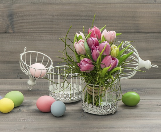 Tulips in a Bird Cage used as Easter Decoration
