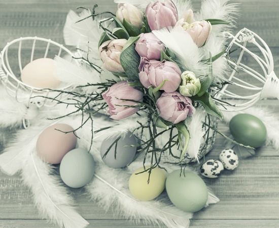 Pastel Shades of Tulips for Easter Decoration