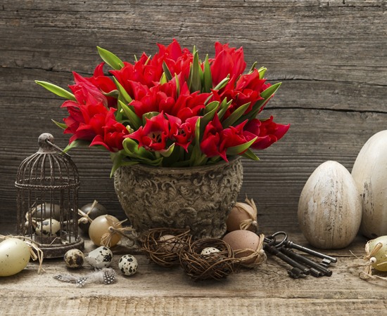 Red tulips used for Easter Decoration
