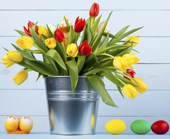 Red and Yellow Tulips used for Easter Decoration