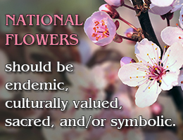Criteria for adopting a national flower