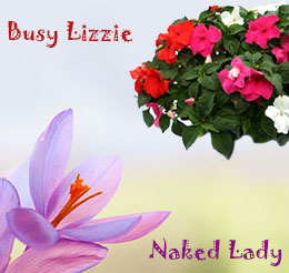 Funny flower names