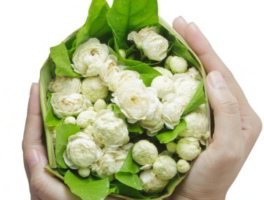 sampaguita bouquet