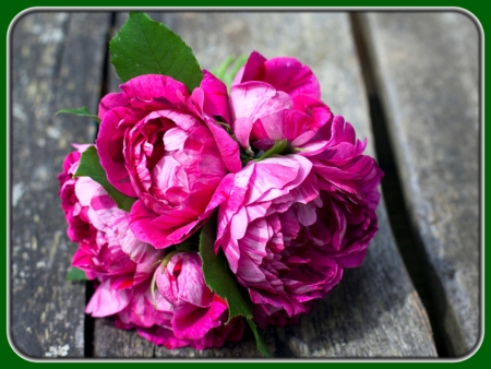 Violet Bunch of Roses