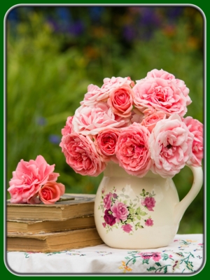Bouquet of Pink Roses in White Pot