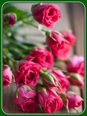 Bouquet of Pink Blooming Roses on Table