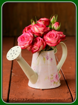 Bouquet of Pink Roses with Buds in Watering Can