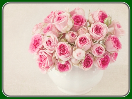 Bunch of Pink Roses in White Ceramic Pot