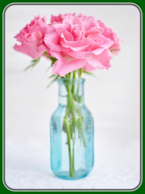 Pink Roses in Glass Vase