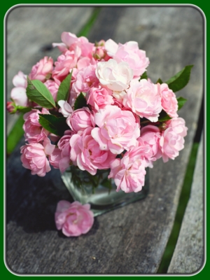 Small Pink Roses in Glass Vase