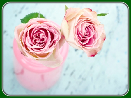Withered Pink Roses in Vases