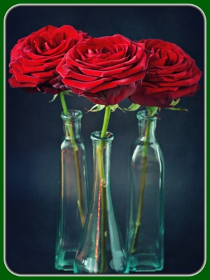 Three Red Roses in Three Glass Vases