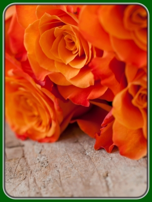 Bunch of Orange Roses