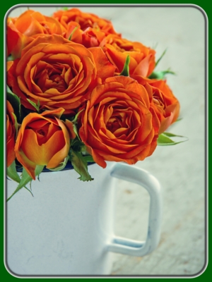 Orange Roses in White Mug