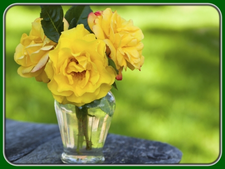 Yellow Roses in Glass Vase