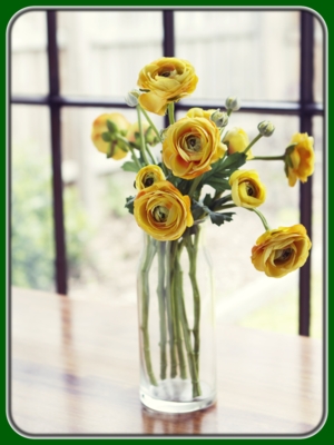Yellow Roses in Glass Vase on Table