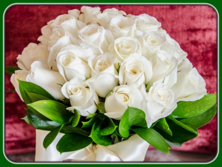 Bouquet of White Roses