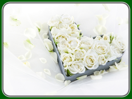 White Roses in Heart-shaped Tray