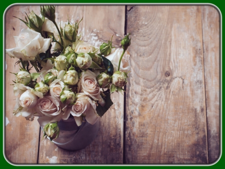 White Roses in Vase