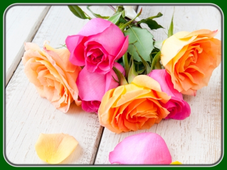 Orange, Peach, and Pink Roses on Table